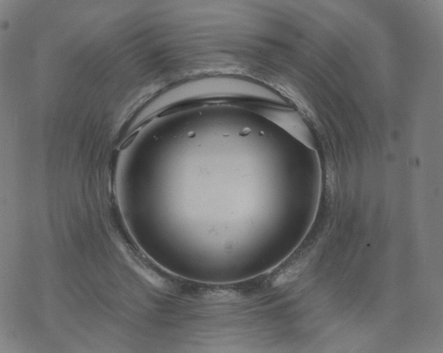 X0000074280397200609081832