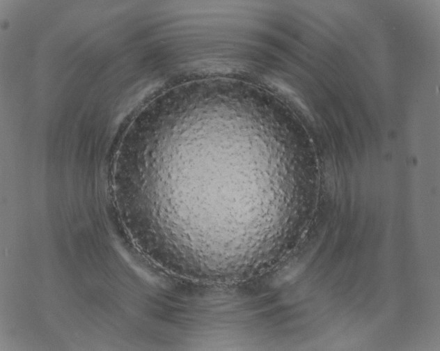 X0000074280398200609081832