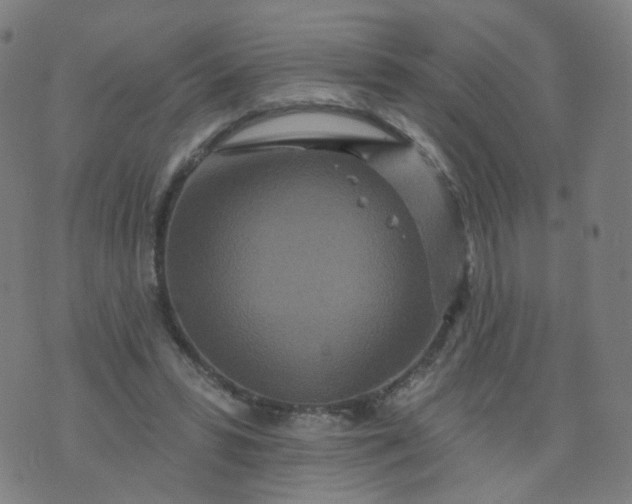 X0000074280399200609081832