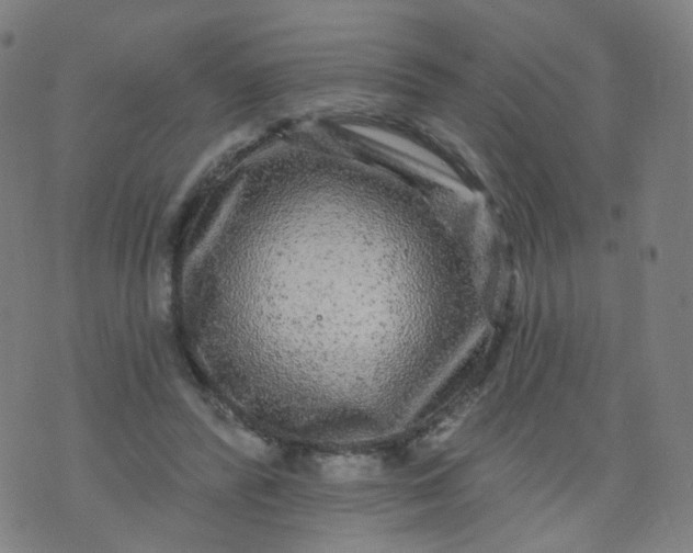 X0000074280400200609081832