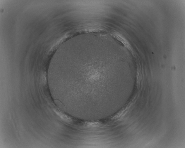 X0000074280401200609081832