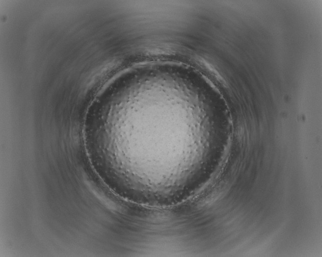 X0000074280402200609081832