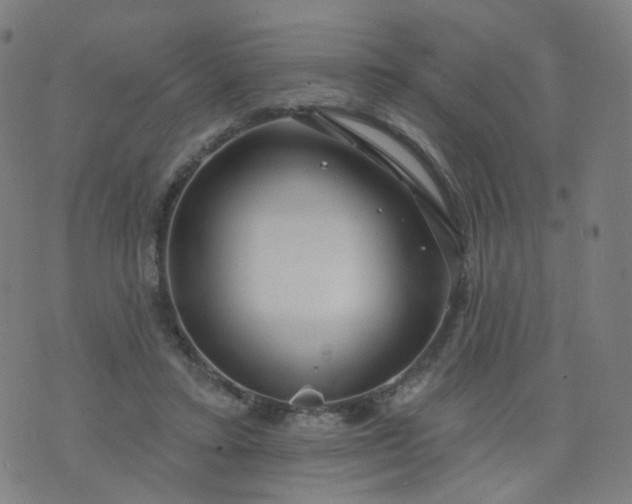 X0000074280403200609081832