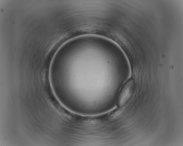 X0000074280404200609081832