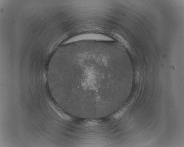 X0000074280405200609081832