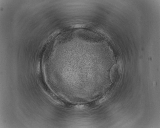 X0000074280406200609081832