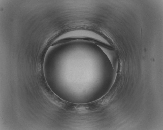 X0000074280407200609081832