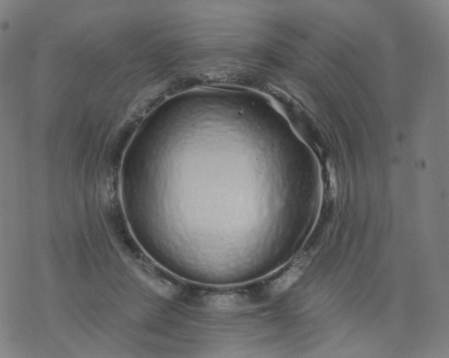 X0000074280408200609081832