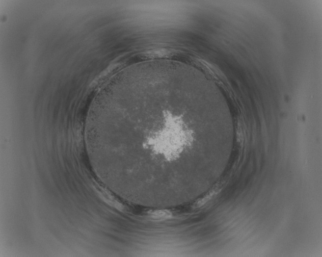 X0000074280409200609081832