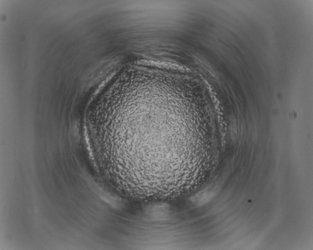 X0000074280410200609081832