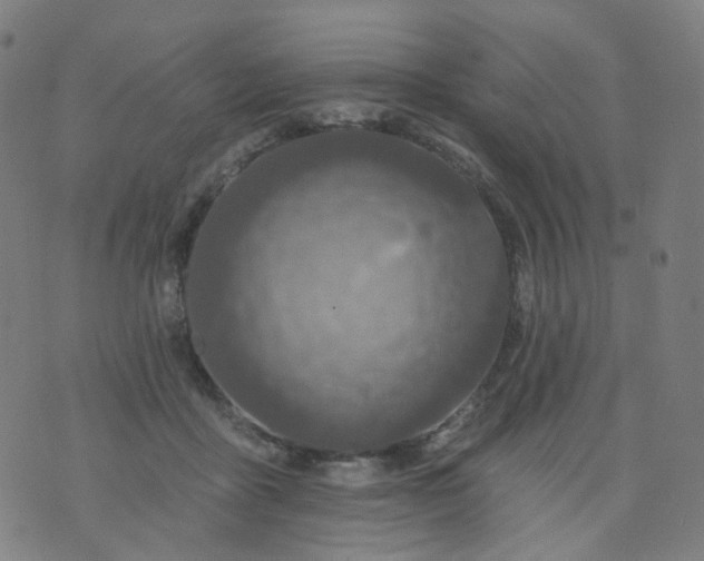 X0000074280411200609081832