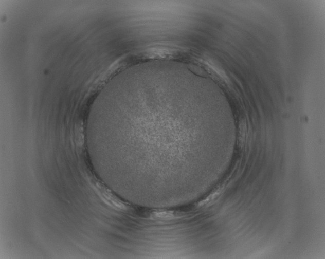 X0000074280413200609081832