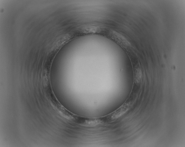 X0000074280414200609081832