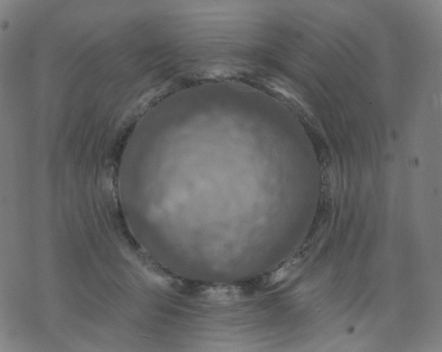 X0000074280415200609081832