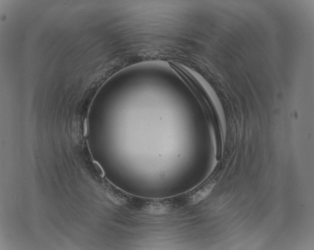 X0000074280416200609081832