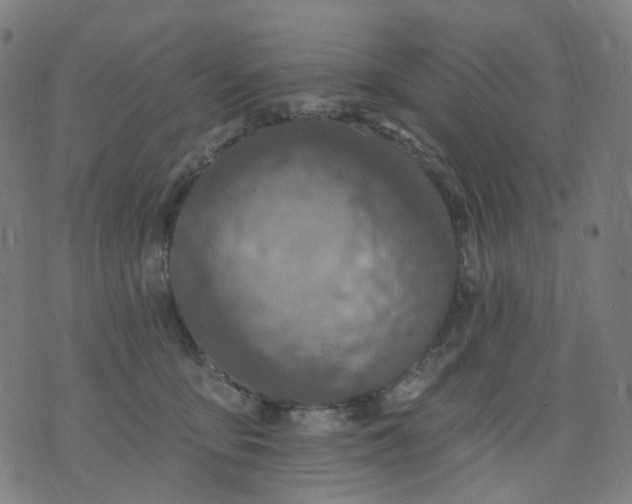 X0000074280419200609081832