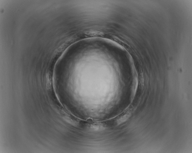 X0000074280420200609081832