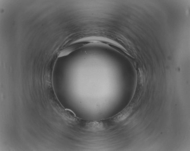 X0000074280421200609081832