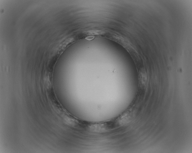 X0000074280422200609081832