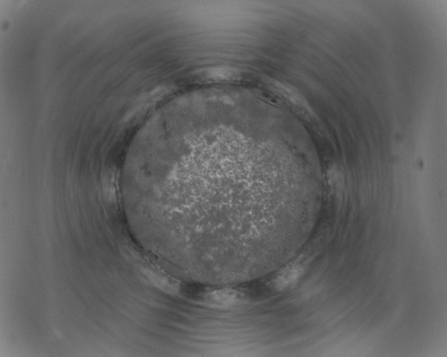 X0000074280423200609081832