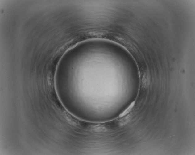 X0000074280424200609081832