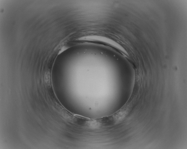 X0000074280425200609081832