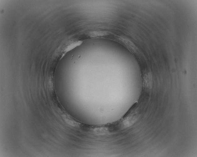 X0000074280426200609081832