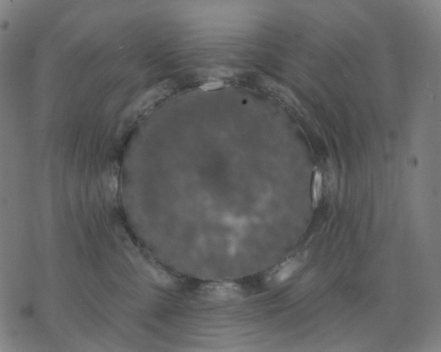 X0000074280427200609081832