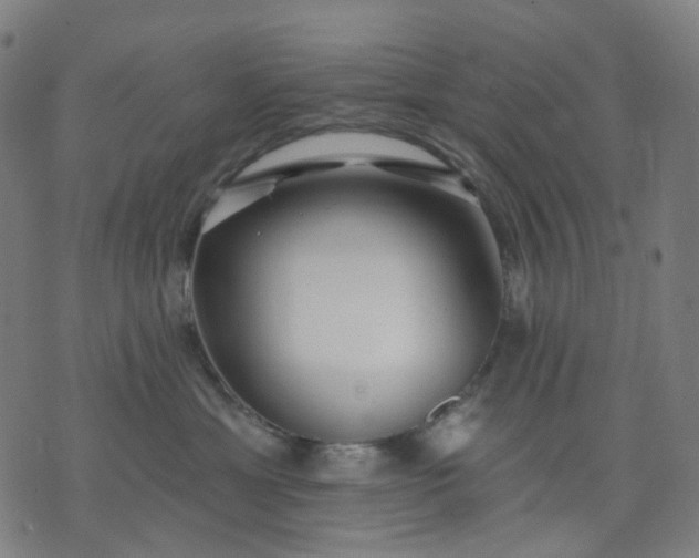 X0000074280429200609081832