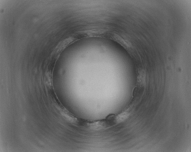 X0000074280430200609081832