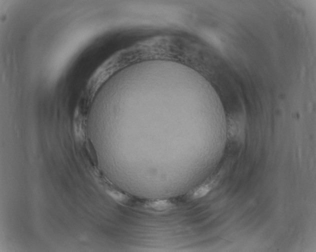 X0000074280431200609081831