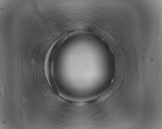 X0000074280432200609081831