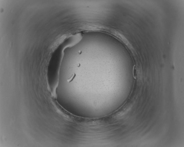 X0000074280433200609081831