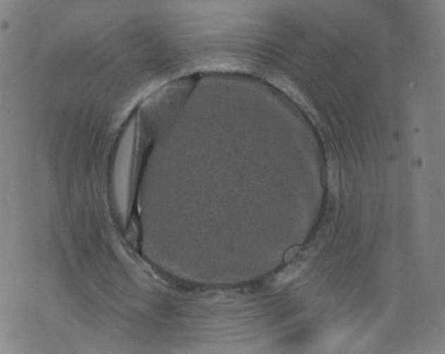 X0000074280434200609081831