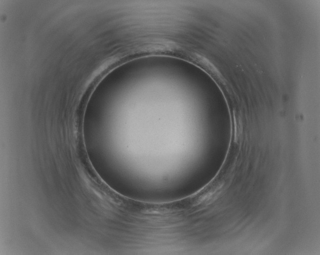 X0000074280435200609081831