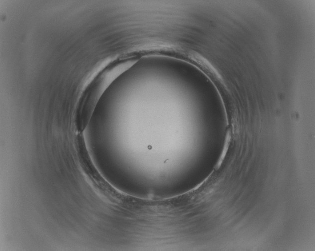 X0000074280436200609081831