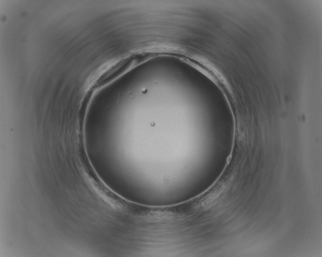 X0000074280437200609081831