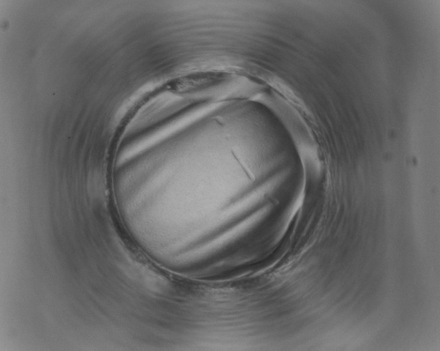 X0000074280438200609081831