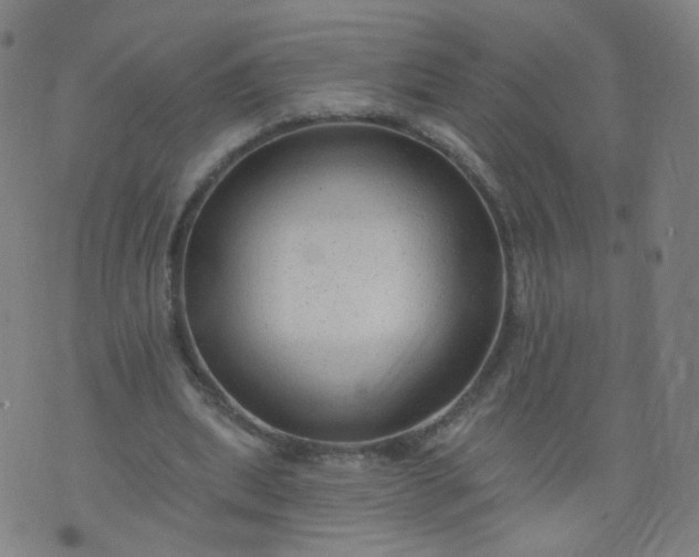 X0000074280439200609081831