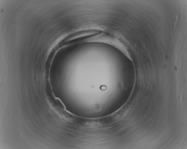 X0000074280440200609081831