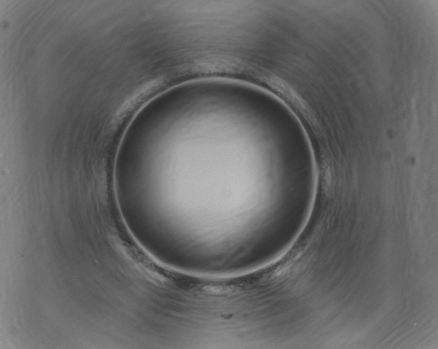 X0000074280442200609081831