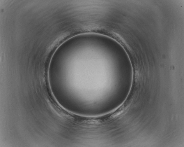 X0000074280443200609081831