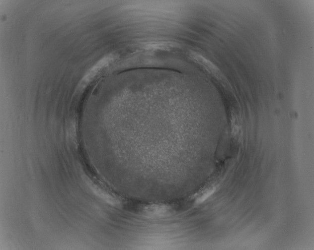 X0000074280444200609081831