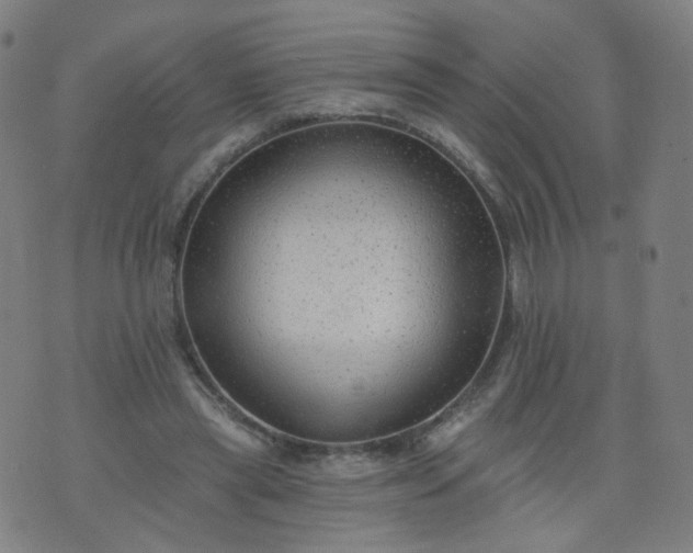 X0000074280445200609081831