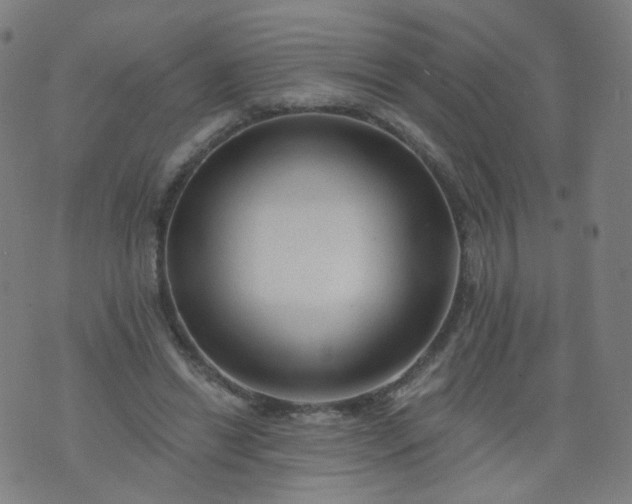 X0000074280446200609081831