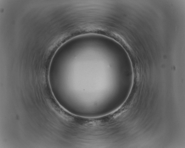 X0000074280447200609081831