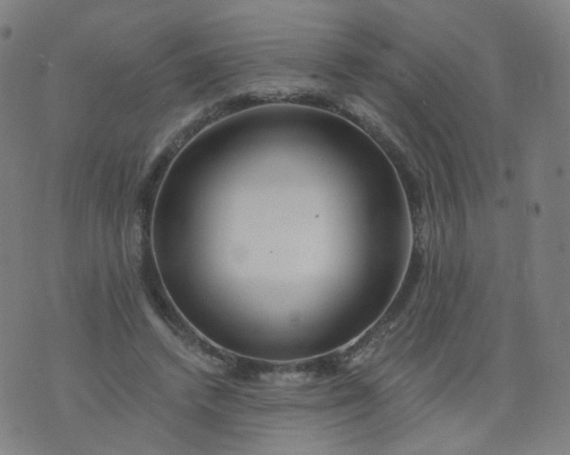 X0000074280448200609081831