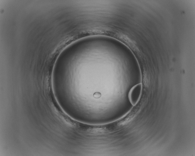 X0000074280449200609081831