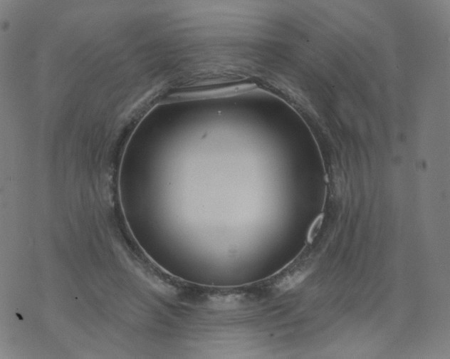 X0000074280450200609081831