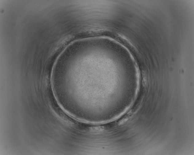 X0000074280451200609081831